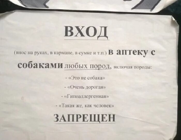 Какая у вас порода собаки?