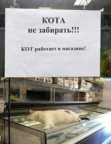 Ценный сотрудник