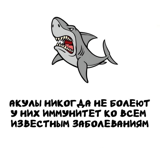 А вдруг ты не знал…