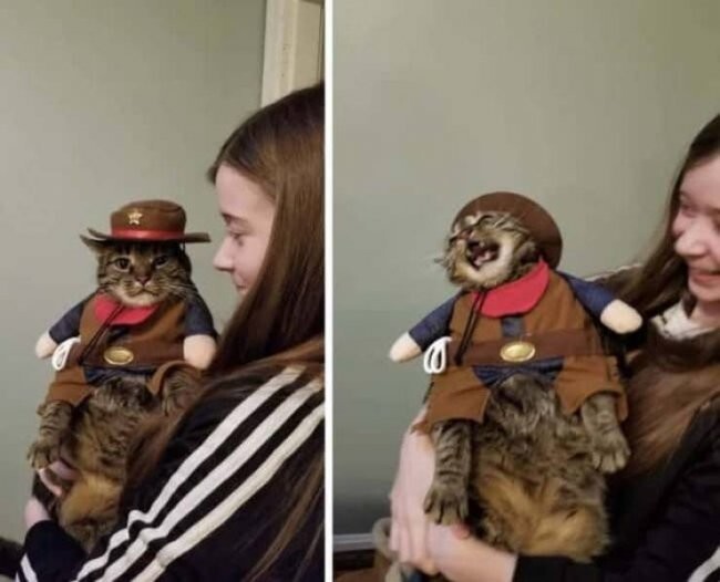  Намешалось 