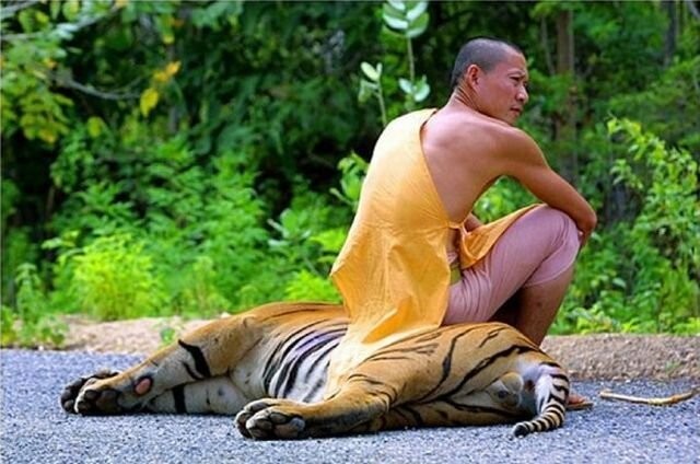  Намешалось 