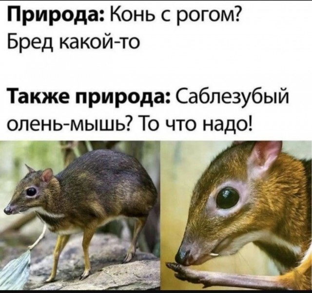 Не ищите здесь смысл. Здесь в основном маразм