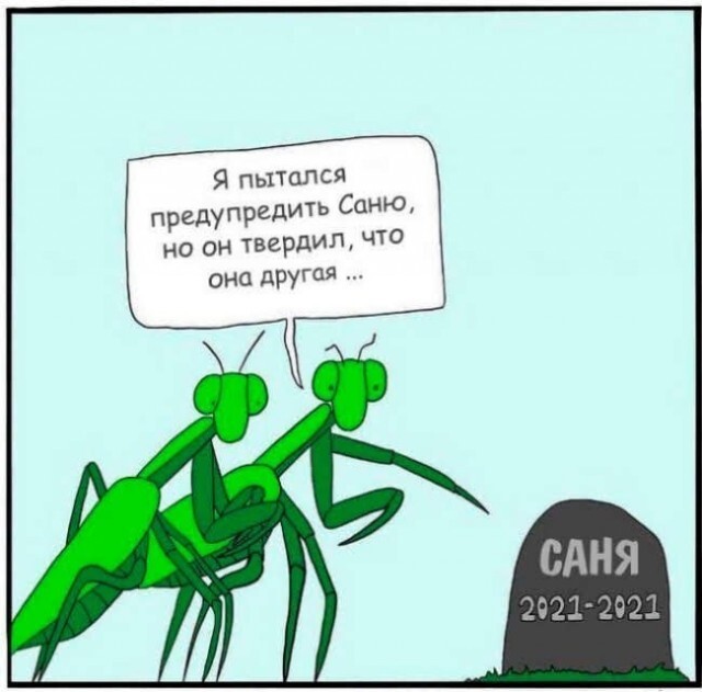 Не ищите здесь смысл. Здесь в основном маразм