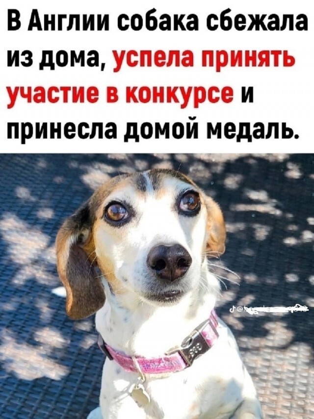 Не ищите здесь смысл. Здесь в основном маразм