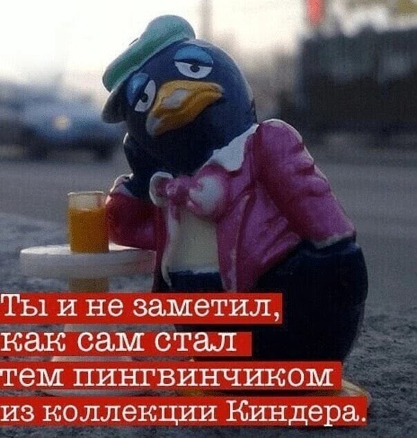14. Не заметили, как превратились в того самого грустного пингвинчика в баре