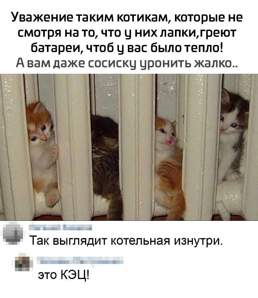Смешные картинки