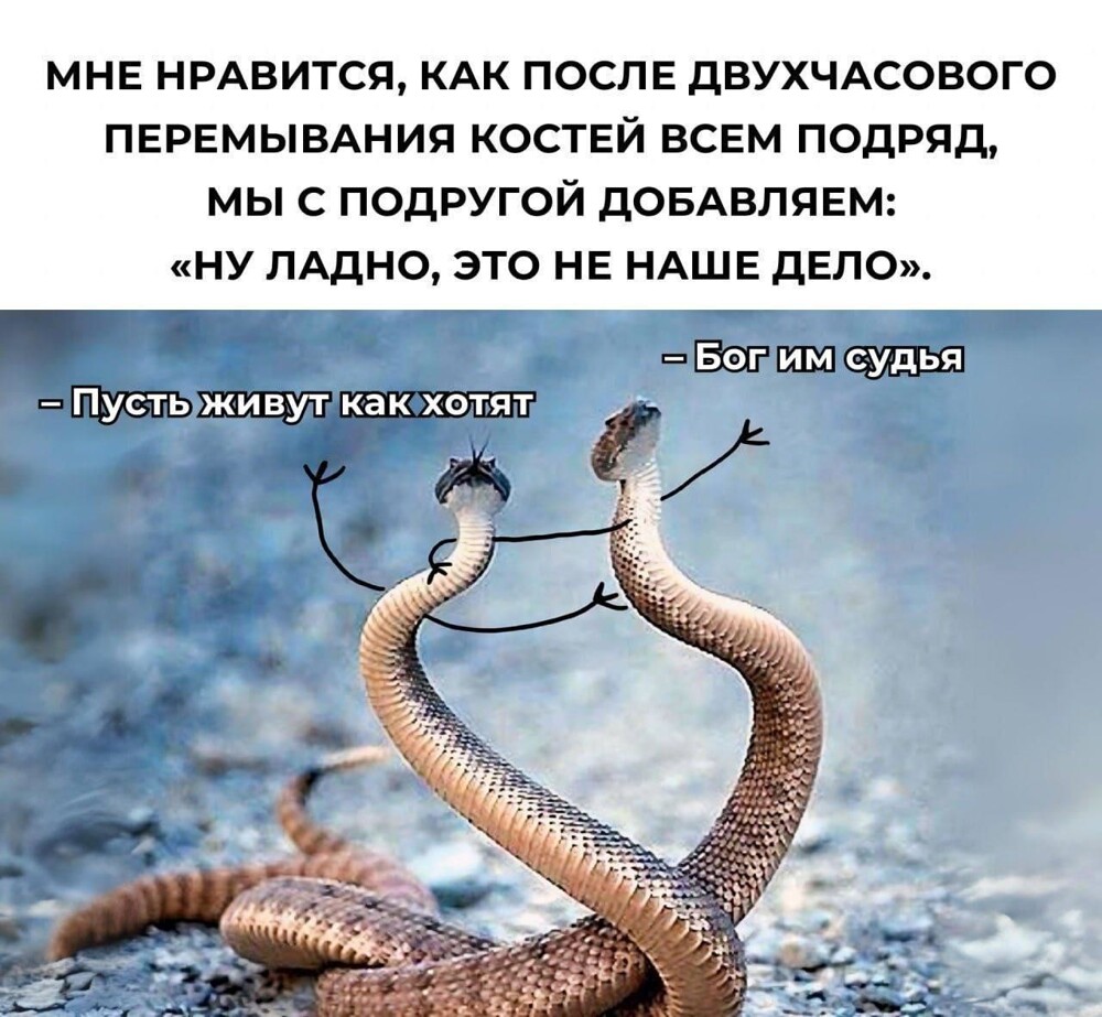 Смешные картинки