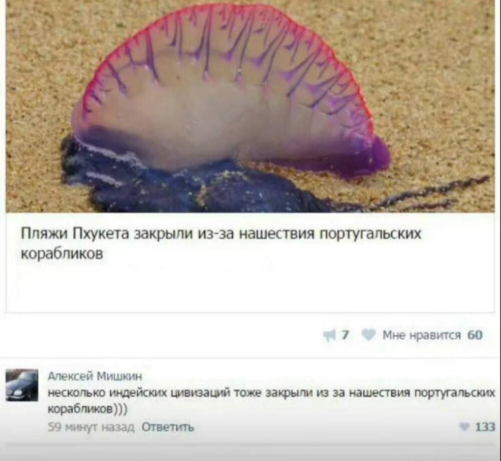 Смешные картинки