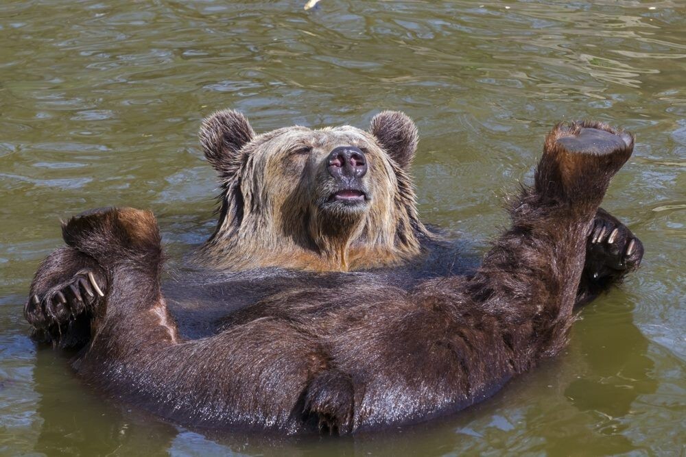 17. Водные процедуры