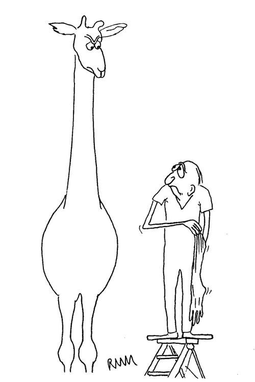 Чёрно-белый юмор