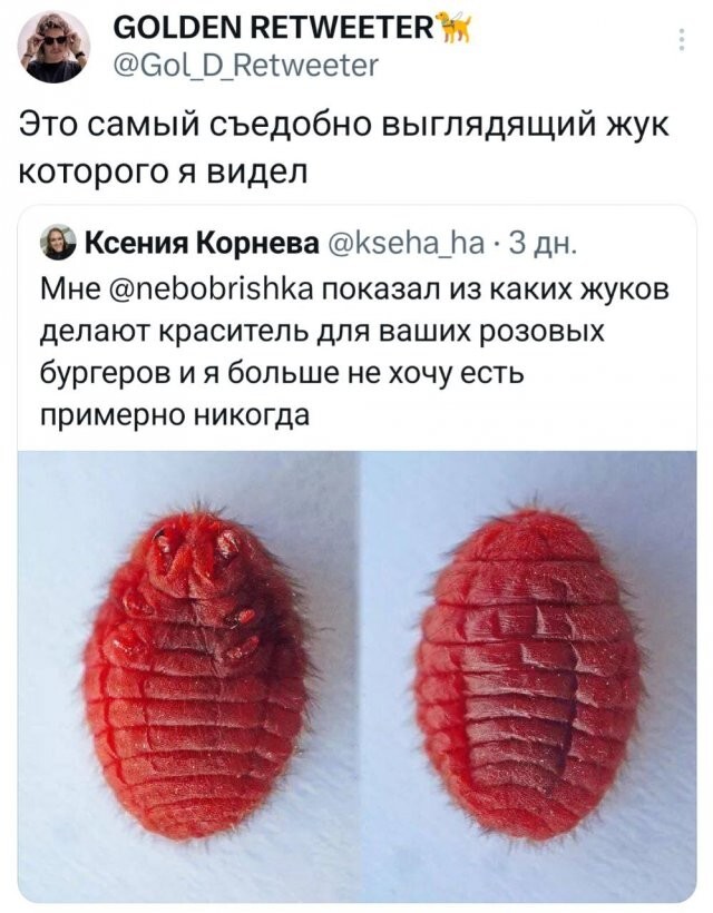 Скрины из соцсетей