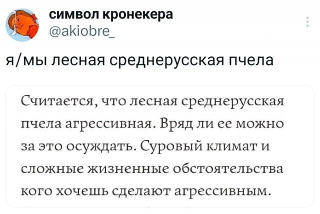 Скрины из соцсетей