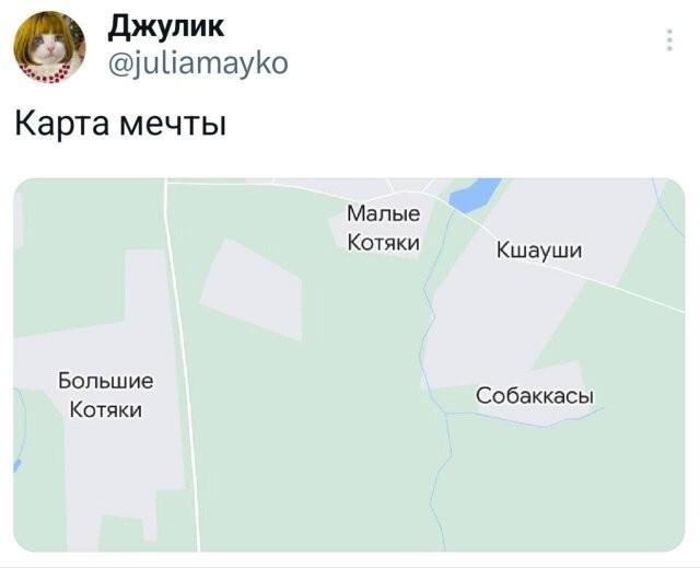 Скрины из соцсетей