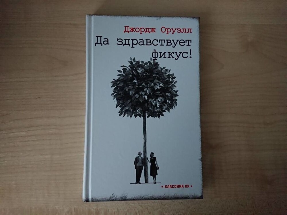 Неприметная аспидистра, ставшая главным растением эпохи