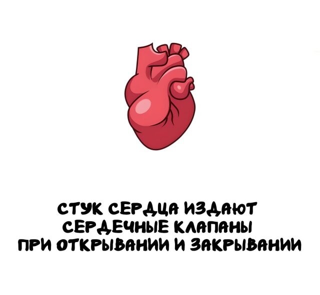 А вдруг ты не знал…