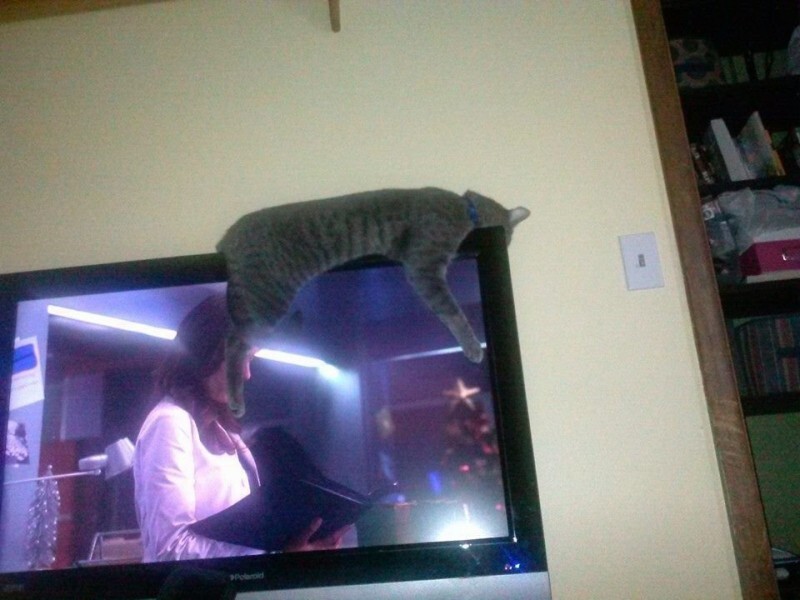 19. Лучше места не нашлось