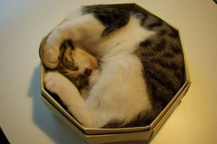 18. Идеальное совпадение