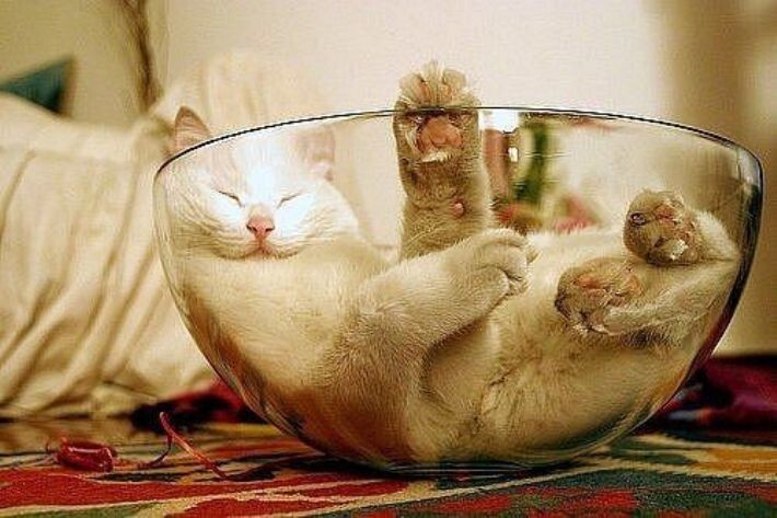 7. Сосуд для самых сладких грёз