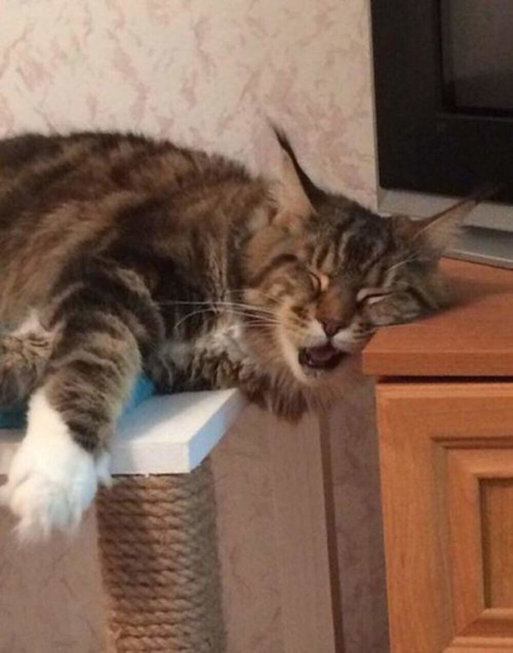 10. Сморило и пригвоздило