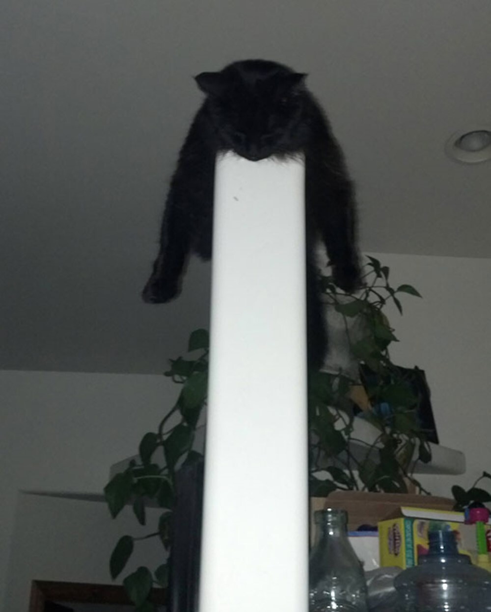 4. Прыгнул, поскользнулся, упал, уснул