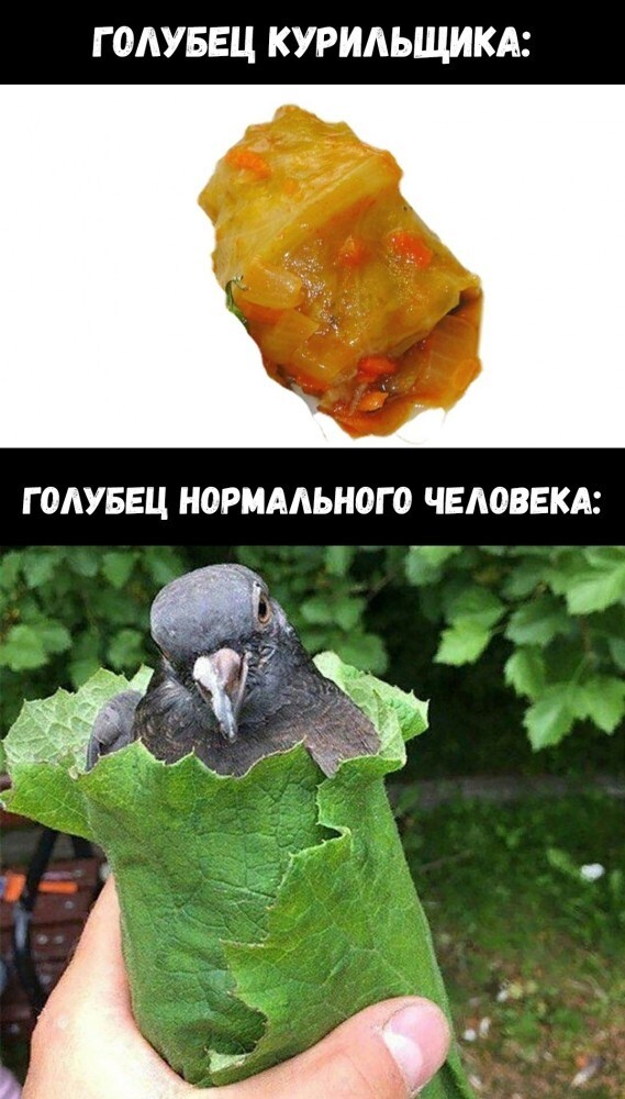 Немного чёрного юмора