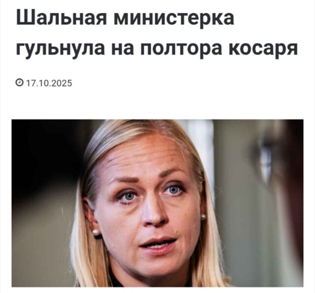 Финская министр иностранных дел полетела в Грузию и попёрлась на антиправительственную демонстрацию