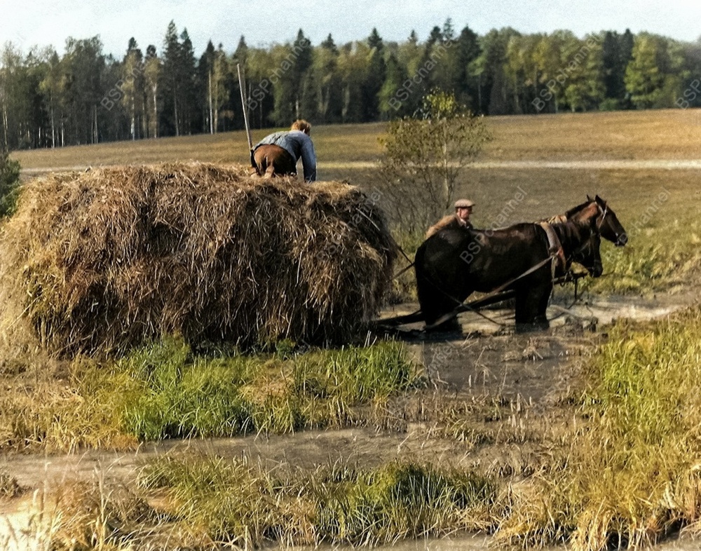 Подборка душевных и ярких фотографий деревенской жизни в СССР