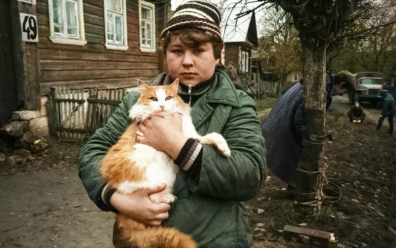 Подборка смешных и забавных фотографий с котами, которые поднимут настроение