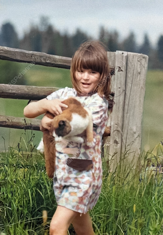 Подборка смешных и забавных фотографий с котами, которые поднимут настроение