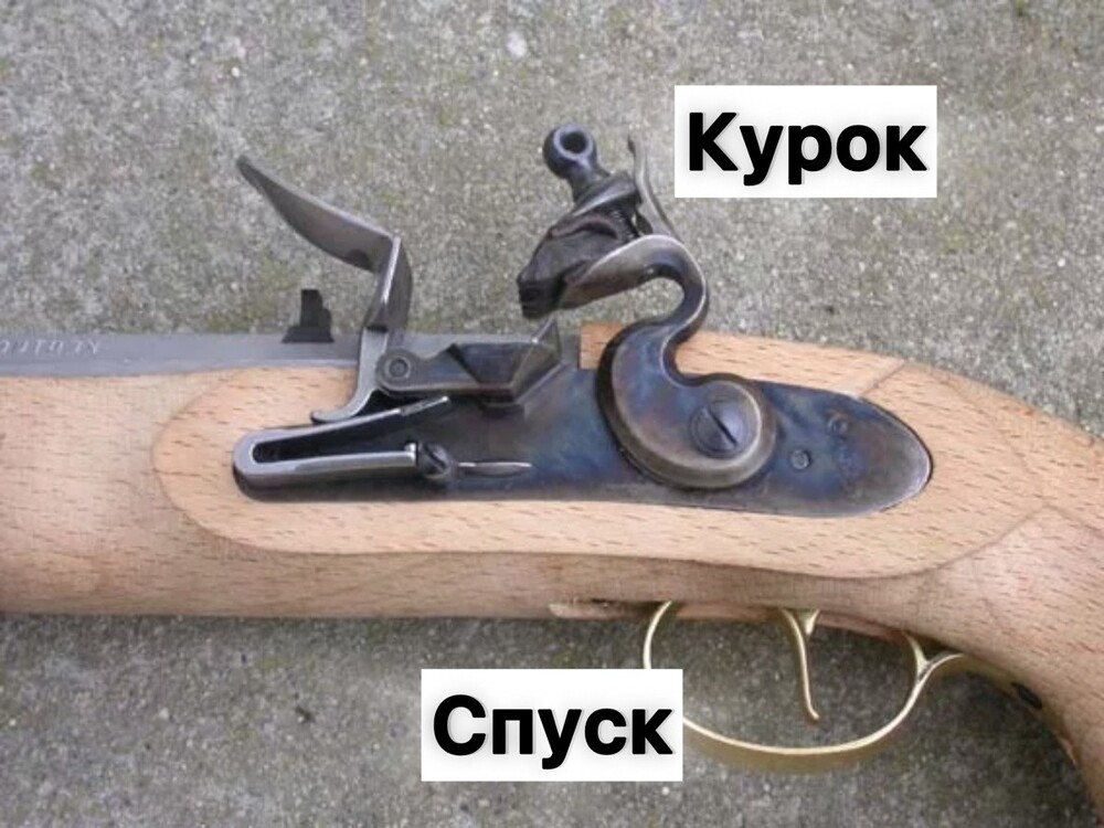 Слова, из-за которых все спорят. Посмотри, правильно ли ты их употребляешь