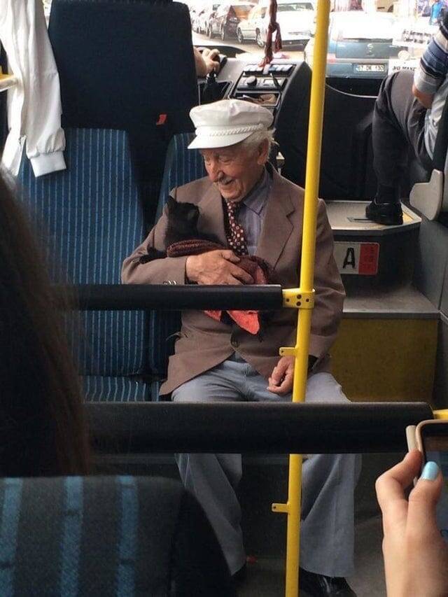 Дедушка и кот