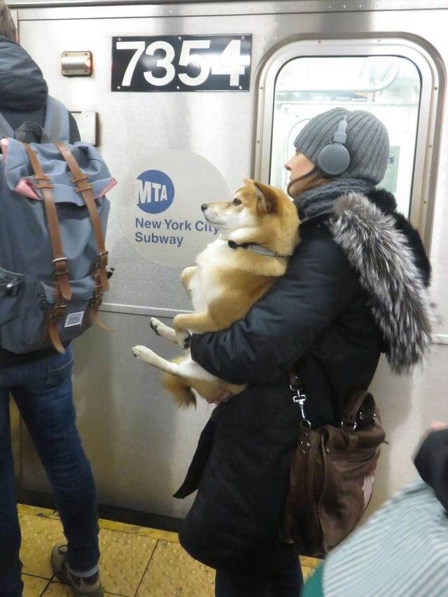 В профиль