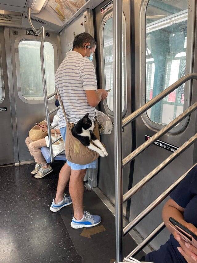 Ничего необычного