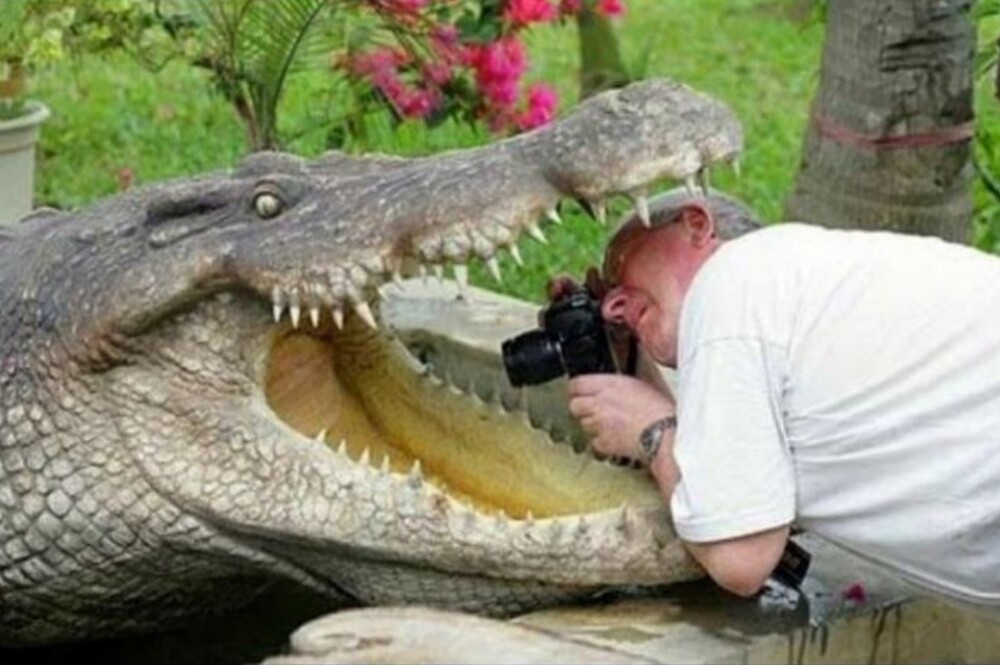 Когда готов на всё ради подобной фотографии