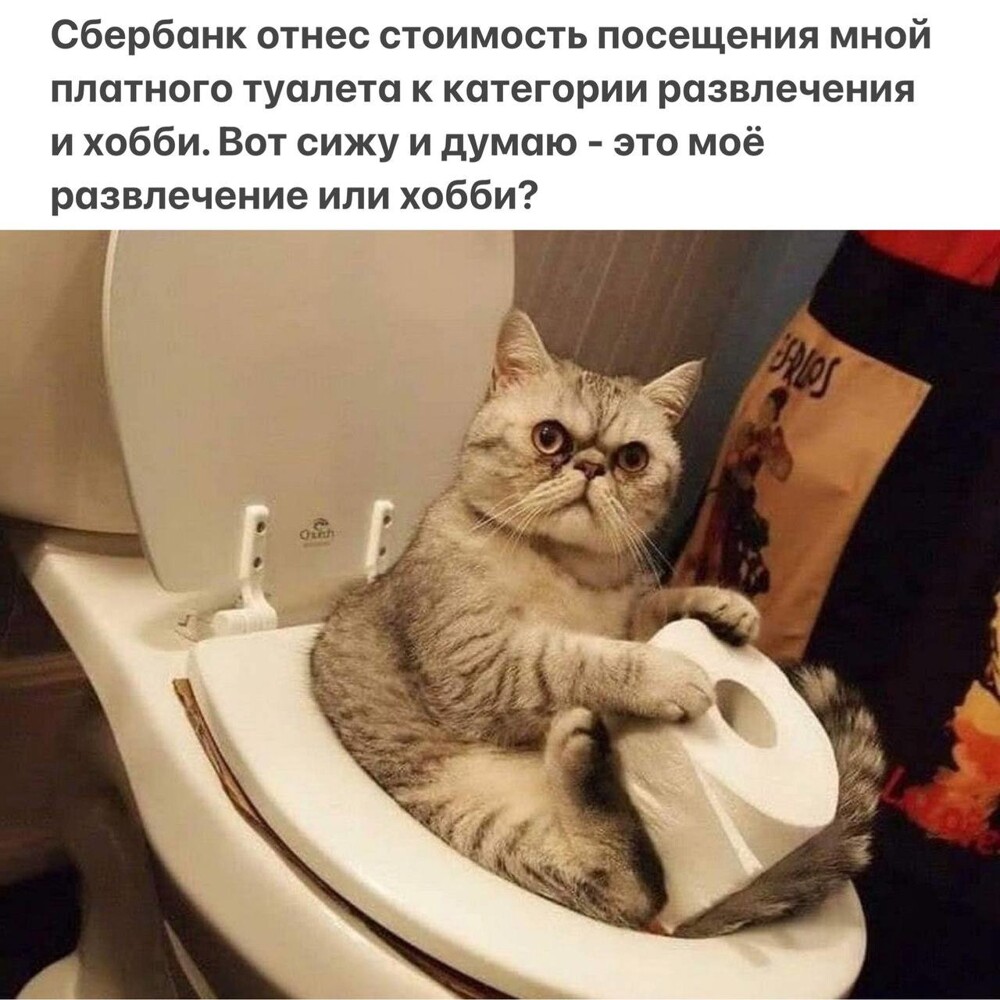 Смешные картинки