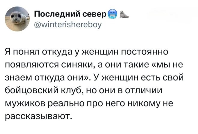 Смешные картинки