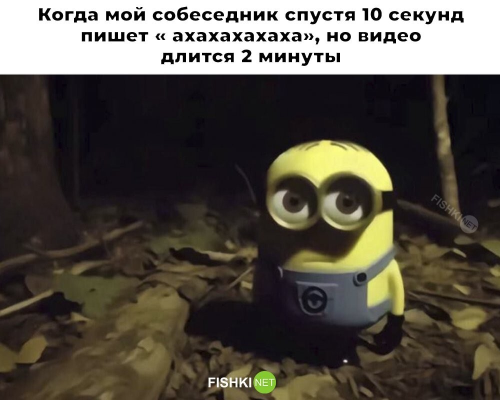 Смешные картинки