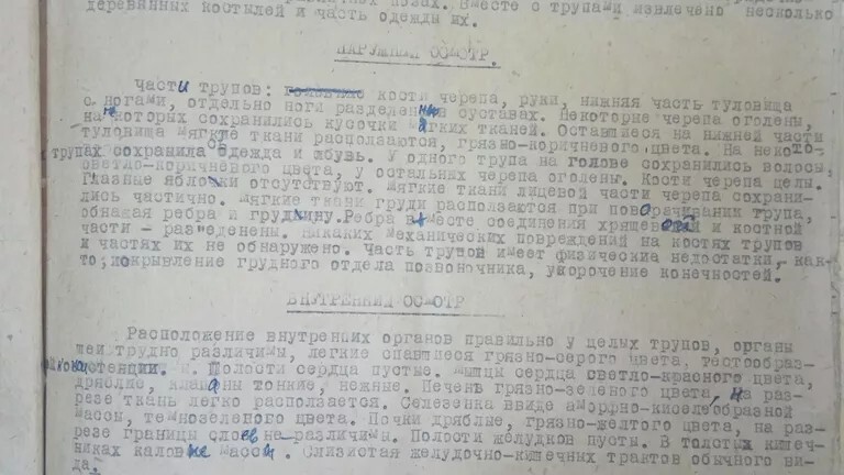 Трагедия в Ейском детдоме