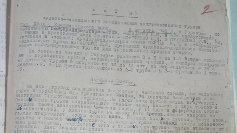 Трагедия в Ейском детдоме