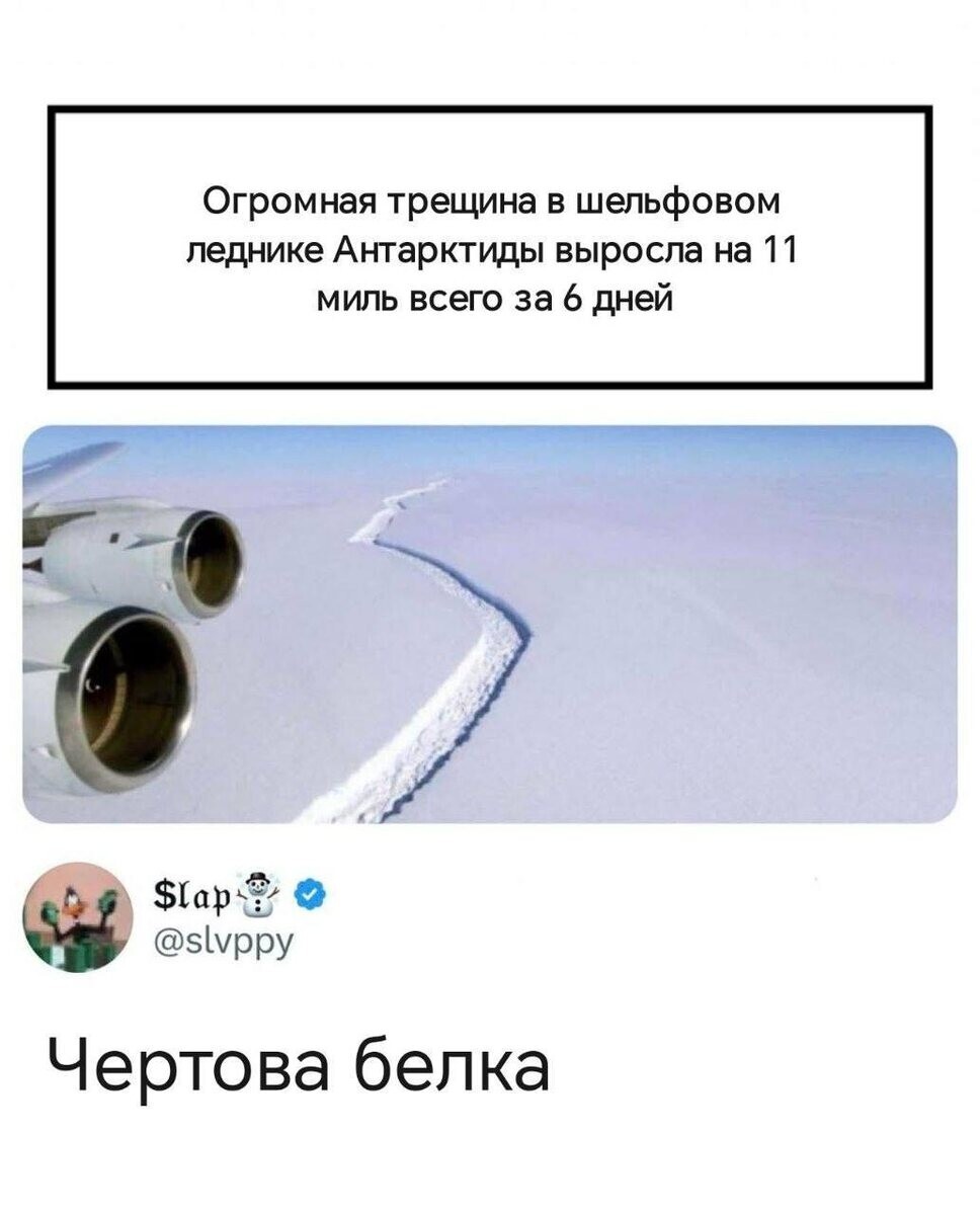 8.