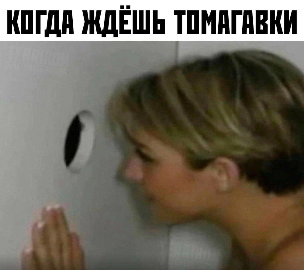 Темп и масштабы деградации поражают