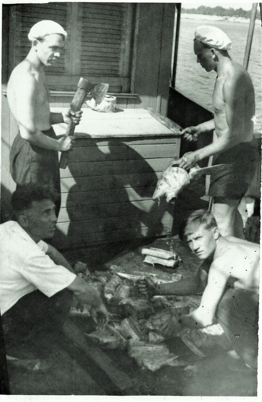 Архив Марины Ворониной. «Рыба в Волге была – 2». Лето 1954 года. Неизвестный автор. Волгоградская область.