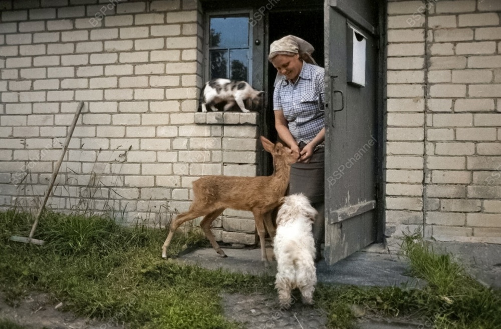 Удивительные и забавные фотографии с животными