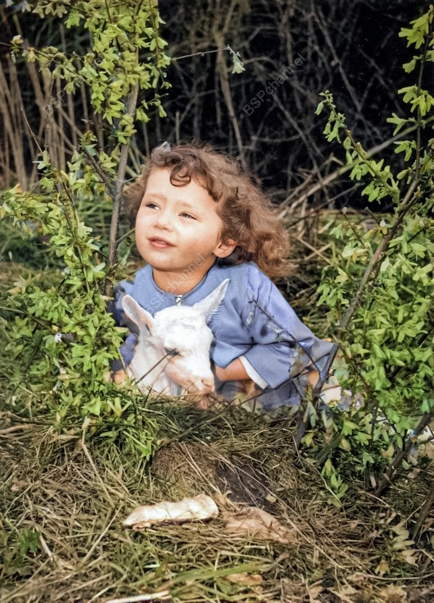 Удивительные и забавные фотографии с животными