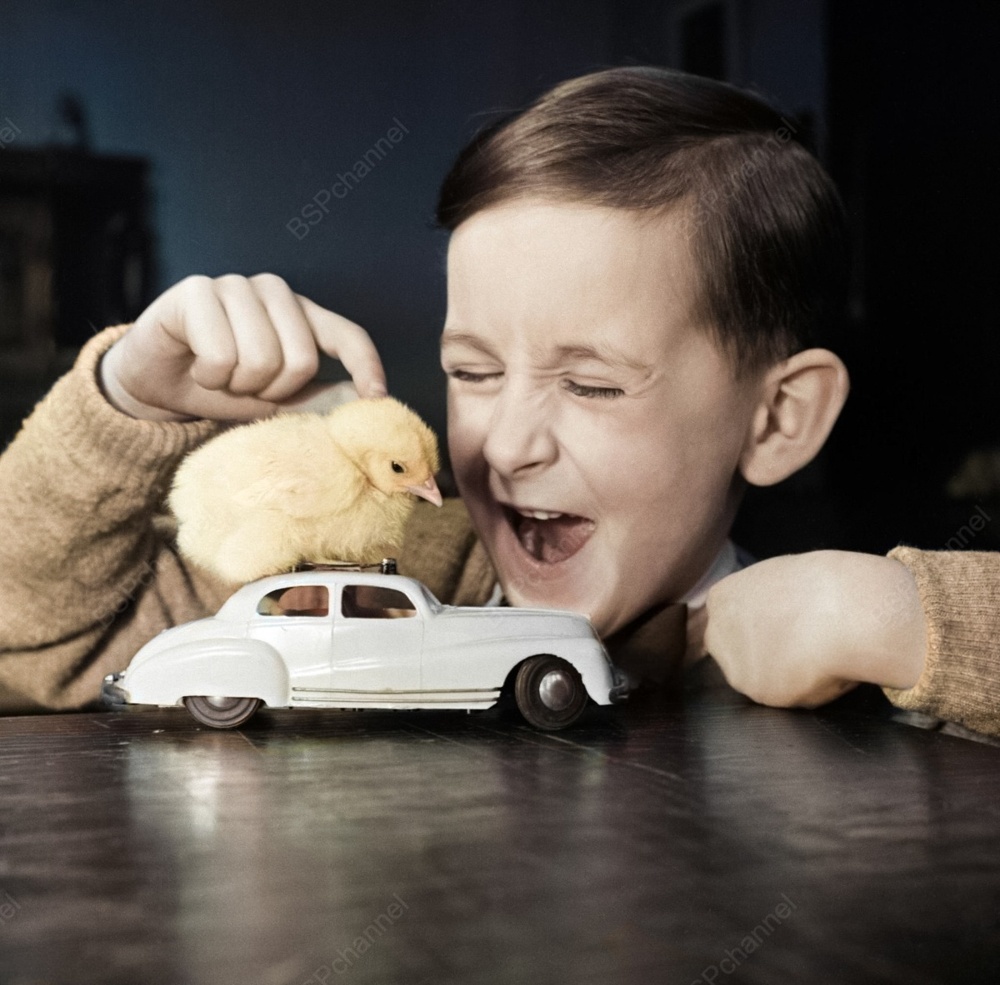 Удивительные и забавные фотографии с животными