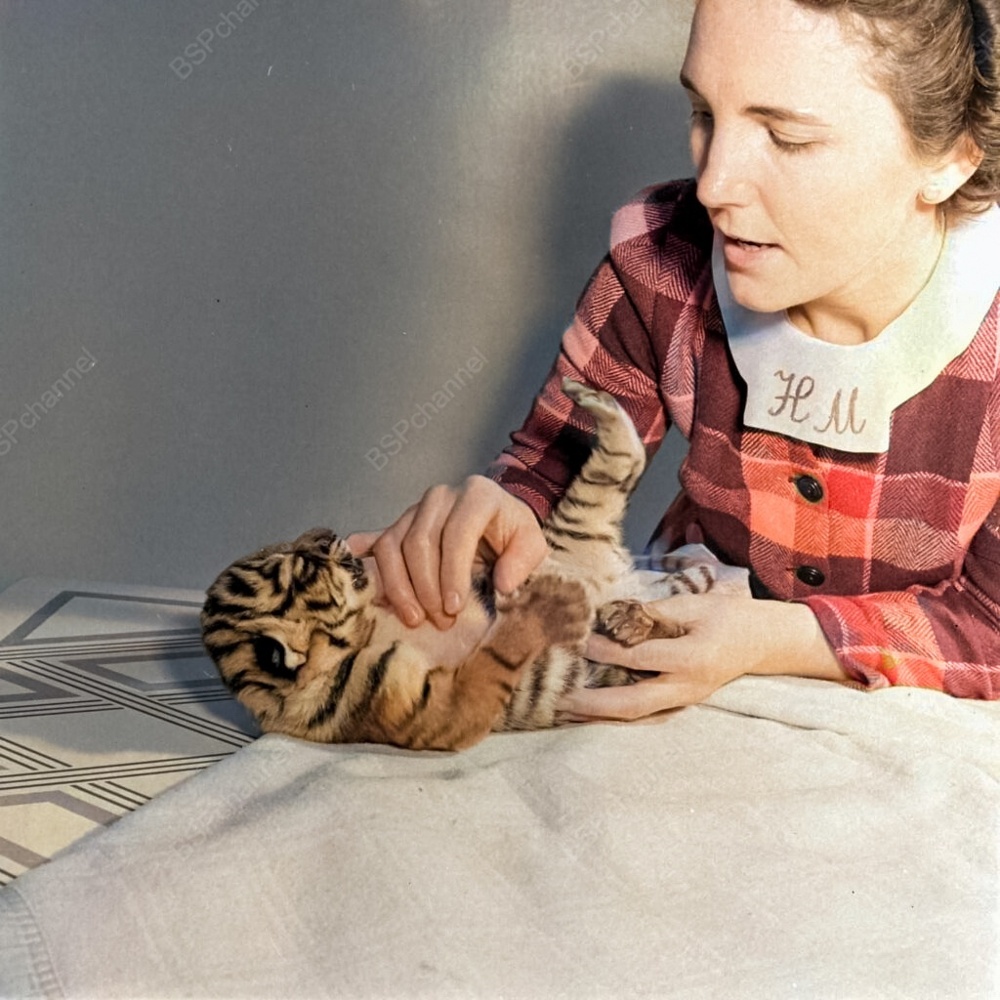 Удивительные и забавные фотографии с животными