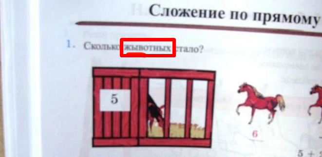 Жы-Шы пиши через Ы