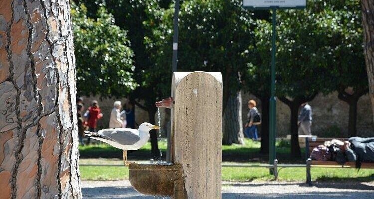 Тысячи «носачей», которые с древности утоляли жажду римлян и продолжают это делать сегодня