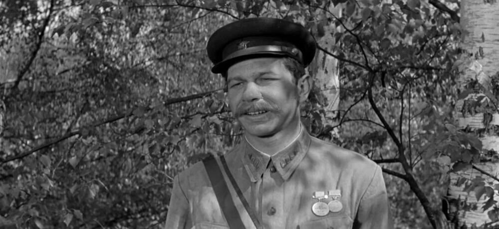 ... А зори здесь тихие (1972)