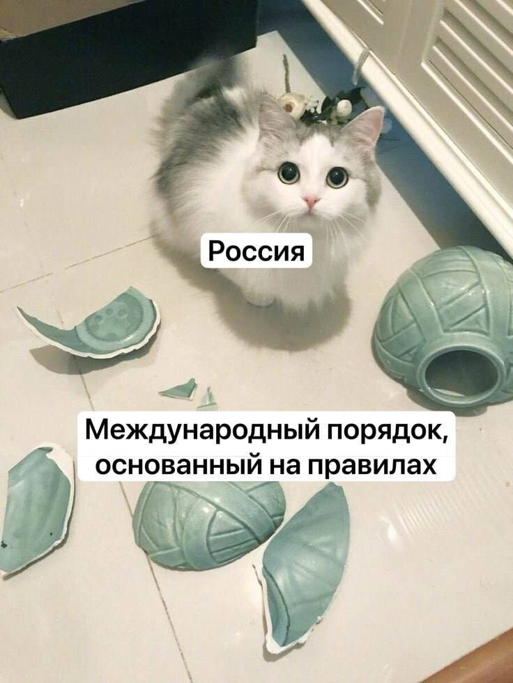 Доброго вечера, агрессоры!!! Всех с пятницей и отличных выходных!!!